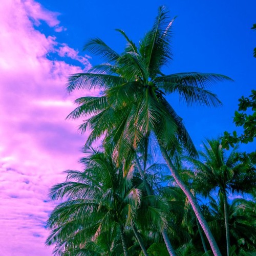 Datfootdive - Merlwyb