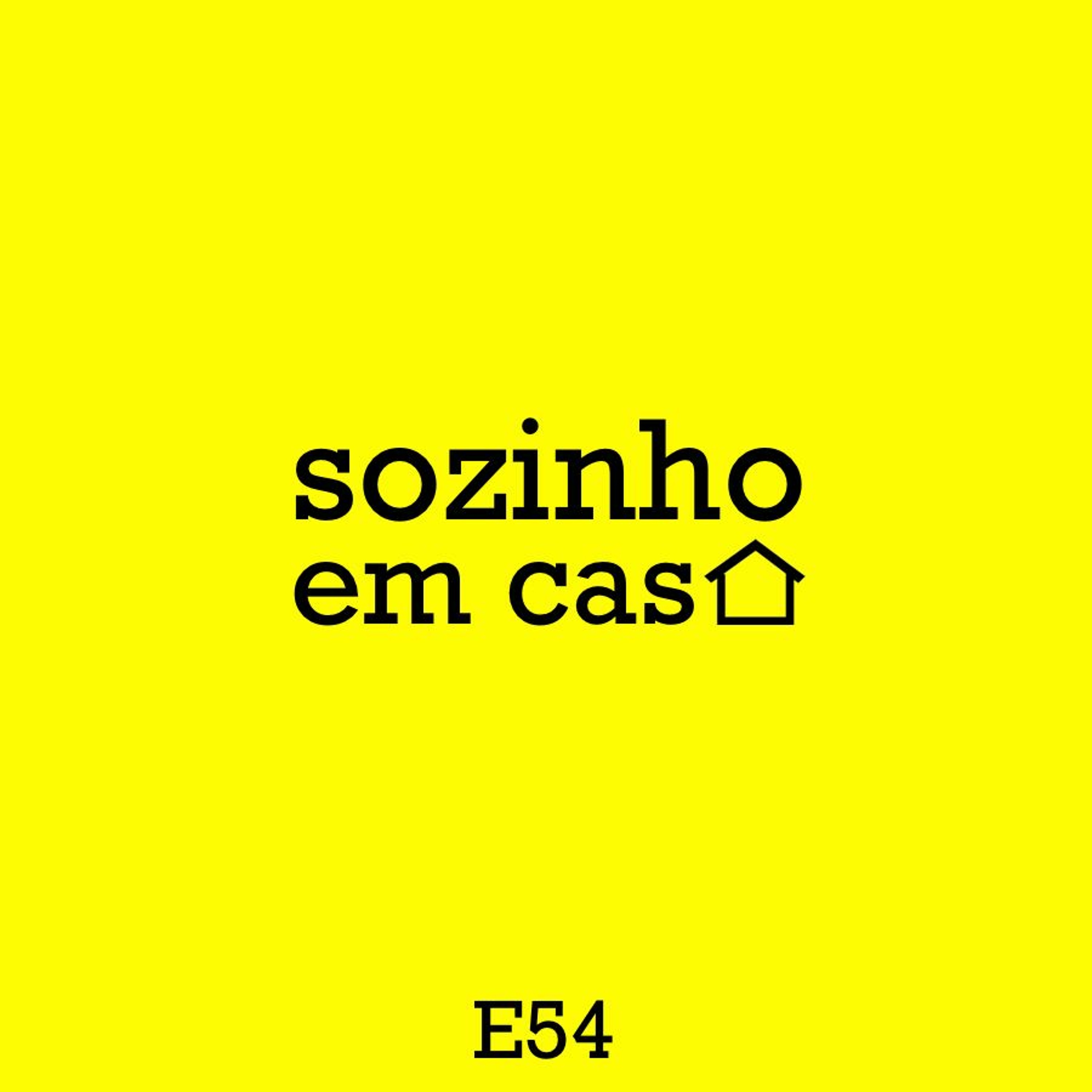 sozinho em casa