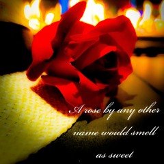 Delicate-Damien Rice Cover