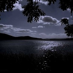 Ancestors : The Humankind Odyssey OST - Night Calm