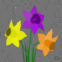 Dancing Daffodils