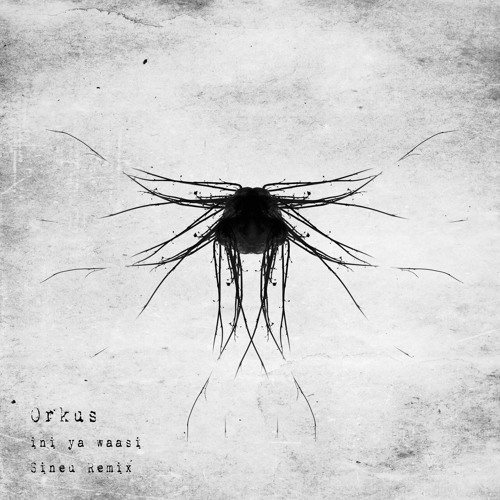 Ini Ya Waasi - Orkus (Sineu Remix)