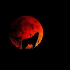 FEBSHIT (Free Kodak)