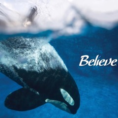 8. Flood - Shamu, Shamu! (Believe OST)