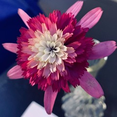 Ricochet (You don't care about nothing)