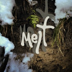 Walking through the forest (and the trees look different)