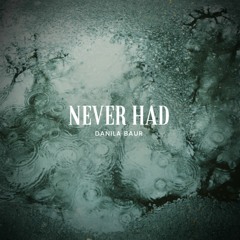 Never Had (Inspired by Eminem's "Mockingbird")