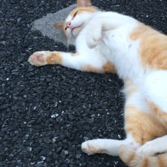 Charaさんの『ミルク』のカバー