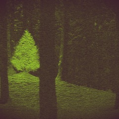 Cant Blink (Prod. Svgr Beats)