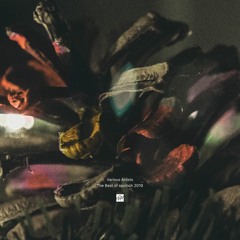 Teaser: Various Artists - The Best of spclnch 2019 [SL2019]