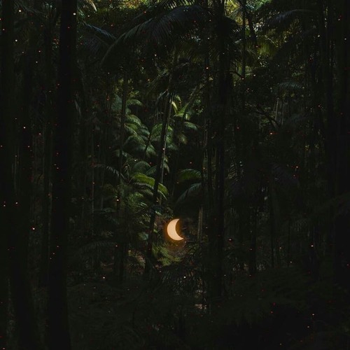 ｉ ｔ ｏ ｌ ｄ ｔ ｈ ｅ ｓ ｔ ａ ｒ ｓ ａ ｂ ｏ ｕ ｔ ｙ ｏ ｕ ( ft. NYELA )