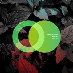Hannes Wiehager & MRTNZ - Catalyst (Original Mix)