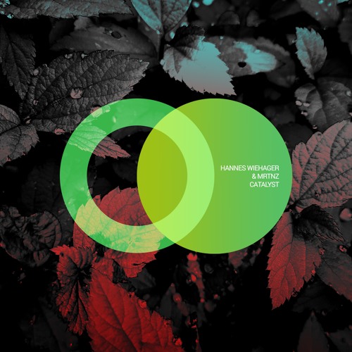 Hannes Wiehager & MRTNZ - Catalyst (Original Mix)
