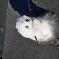 Smoking Banana Peels...Mellow