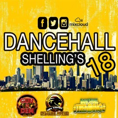 Natural Affair - Dancehall Shellings 18