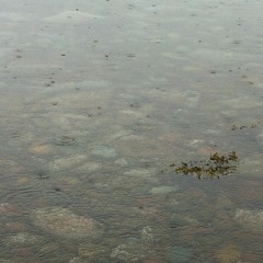 The Sound Of The Rain On The Sea
