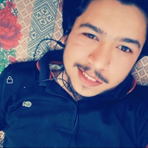 poshto tiktok