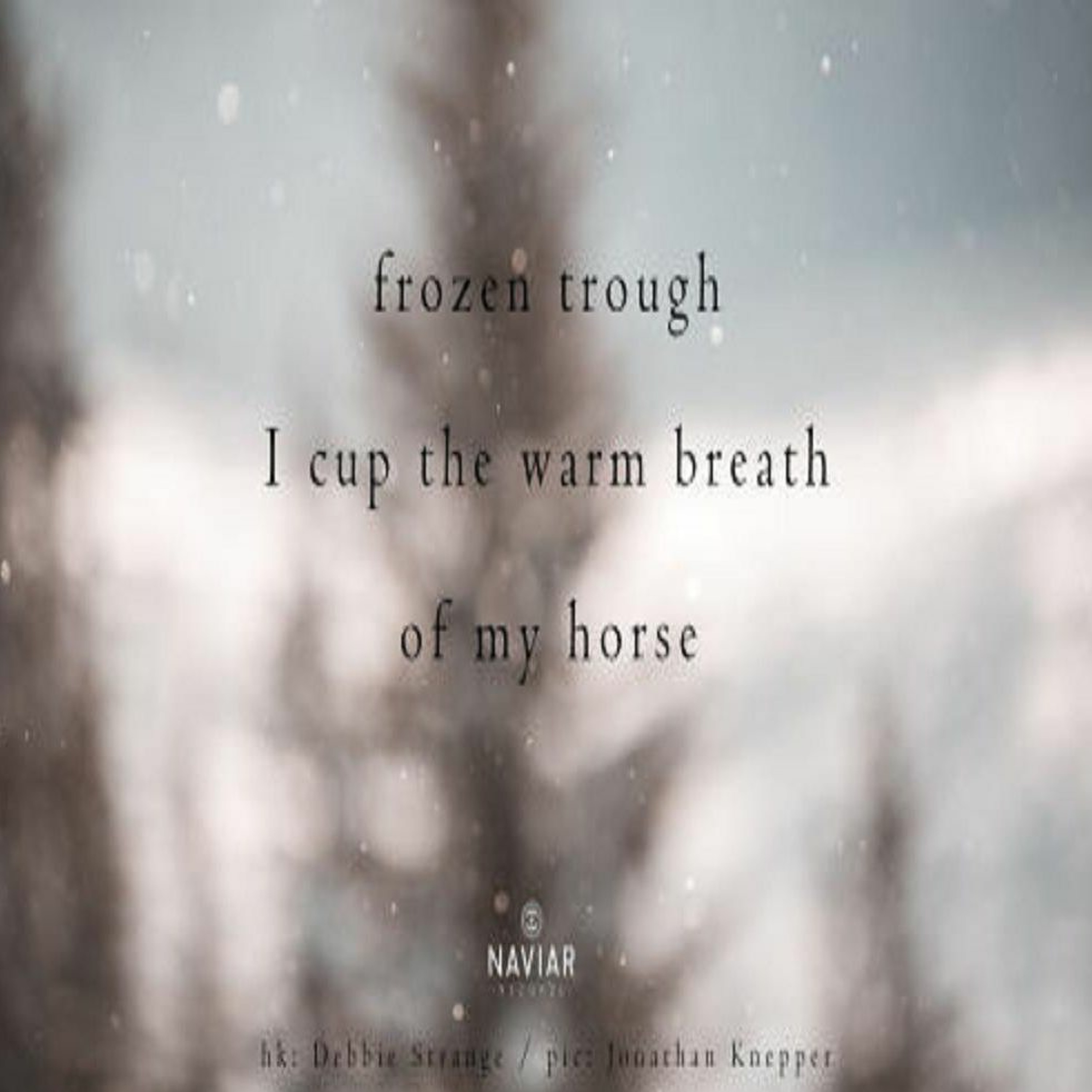 OneAmbient4 - Frozen Trough (Naviarhaiku 312) episode artwork