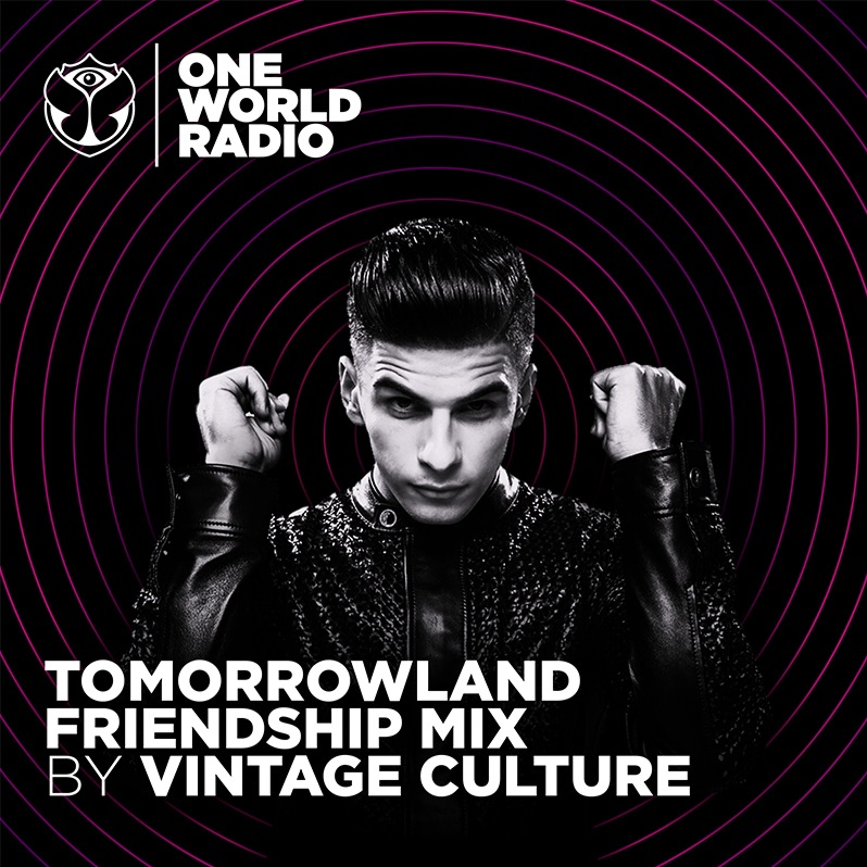 Tomorrowland Friendship Mix