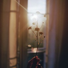 Sunrise- Nora Jones Cover