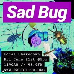 Sad Bug