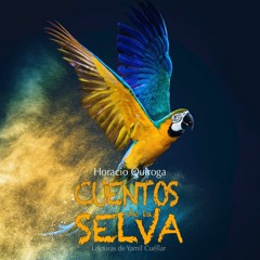 Stream 2 - Cuentos De La Selva: Las Medias De Los Flamencos from Lecturas  de Yamil Cuéllar | Listen online for free on SoundCloud