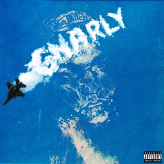 GNARLY (WAVY BABY!) Prod by Isaiah Valmont x lil Zoom