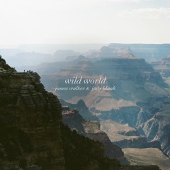 Wild World (feat. Judy Blank)