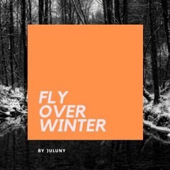 JUUNY • Fly Over Winter(DJ Set)
