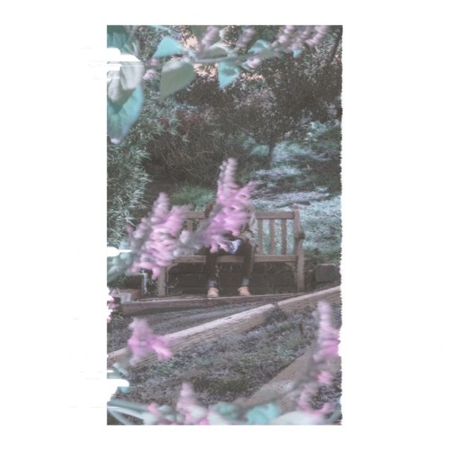 Solace (feat. Erin The Gifted & Velvet Lune)