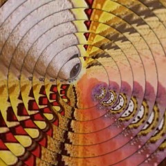 111