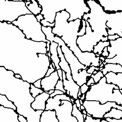 La cantora de la barricada