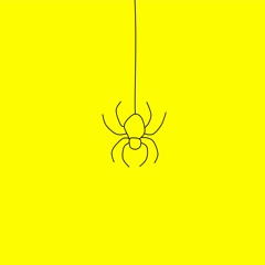 ARAÑA DE RINCÓN - DEMO