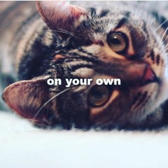 On Your Own