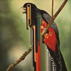 Ryanosaurus - The Birds And The Bleeps (Anyer Quantum Remix) [FREE DOWNLOAD]