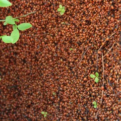 Dim Shift) #1 meditation root chakra