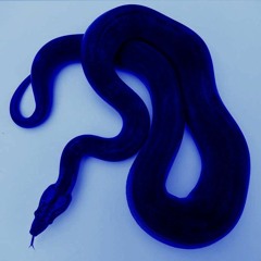 Flexing (feat. datboiwii)