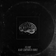 Fellsius - Black (Carpainter Remix)