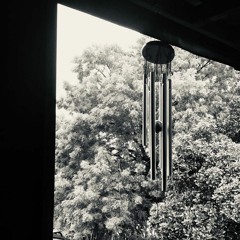 Hidden Mist