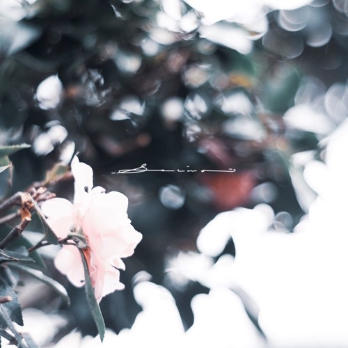 花 Good On The Reel By Serina