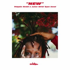 [FREE] Trippie Redd x Juice Wrld type beat "New" 156BPM