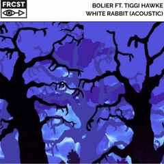 Bolier Ft Tiggi Hawke - White Rabbit (Acoustic)