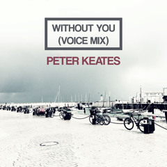 Without you (Voice mix)
