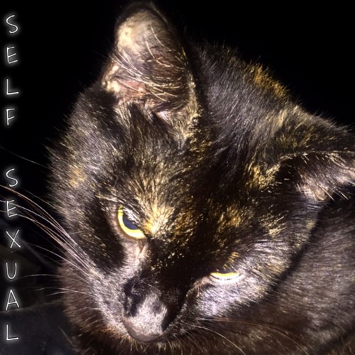 SELF SEXUAL [Prod. by SunnahTheSage]