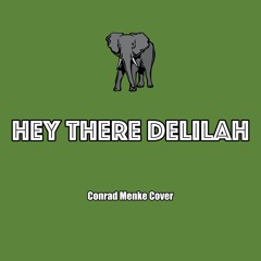 Hey There Delilah (cover version)