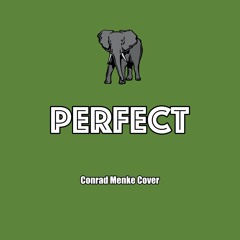 Perfect (cover version)