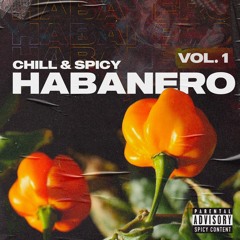 CHILL & SPICY [HABANERO VOL.1] 🌶️