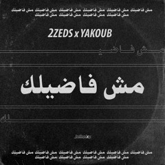 2 ZEDS X YAKOUB - MESH FADILAK | ٢زيدز و يعقوب - مش فاضيلك