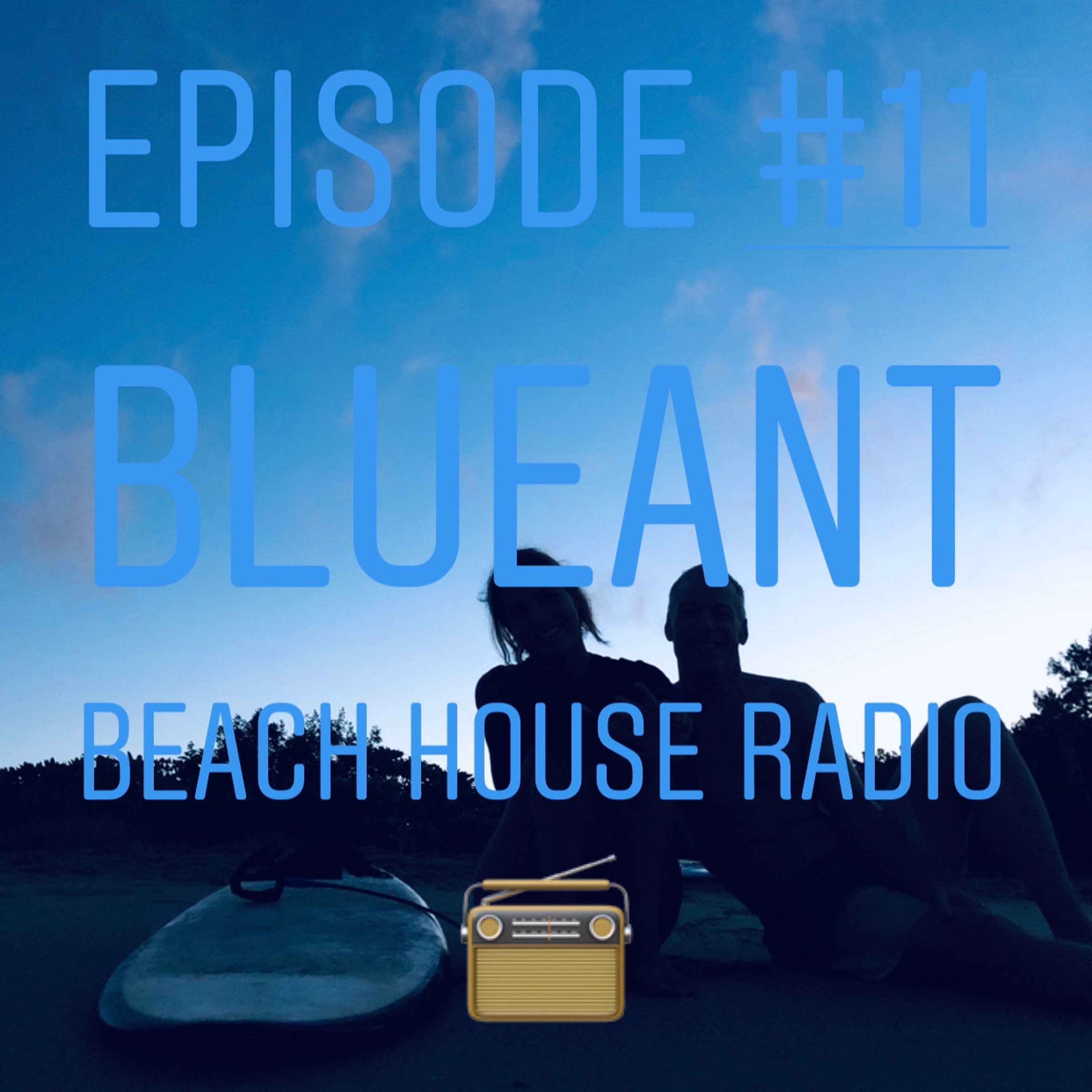 BlueAnt Beach House Radio