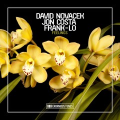 David Novacek, Jon Costa & Frank - Lo - Feelings (Leventina & Chris Reece Remix Edit)